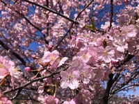 ファイル 1987-2.jpeg