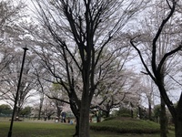 ファイル 1991-1.jpeg