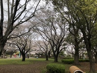 ファイル 1991-2.jpeg