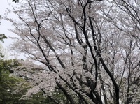 ファイル 1991-3.jpeg