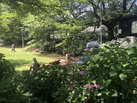 ファイル 2006-5.jpeg