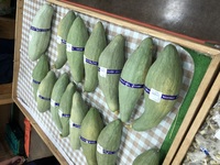 ファイル 2015-5.jpeg