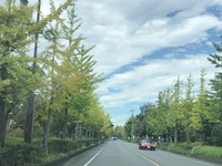 ファイル 2030-1.jpeg