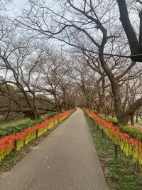 ファイル 2033-3.jpeg