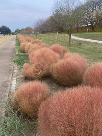 ファイル 2033-4.jpeg