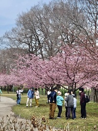 ファイル 2079-2.jpeg