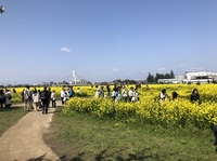 ファイル 2083-2.jpeg