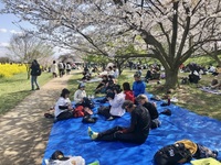 ファイル 2083-4.jpeg