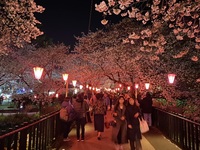 ファイル 2084-1.jpeg