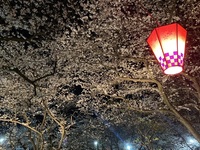 ファイル 2084-2.jpeg