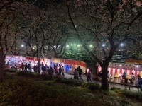 ファイル 2084-3.jpeg