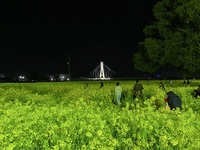 ファイル 2084-4.jpeg