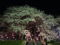 ファイル 2084-5.jpeg