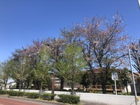 ファイル 2087-1.jpeg