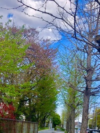 ファイル 2087-2.jpeg