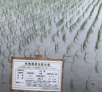 ファイル 2096-1.jpeg