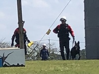 ファイル 2122-5.jpeg