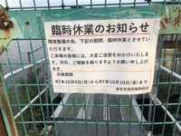 ファイル 2126-2.jpeg