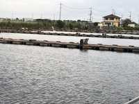 ファイル 2126-5.jpeg