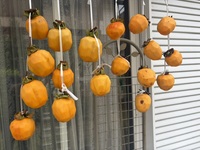 ファイル 2132-3.jpeg