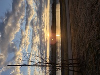 ファイル 2152-1.jpeg