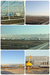 ファイル 2175-1.jpeg