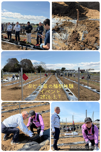 ファイル 2176-1.jpeg