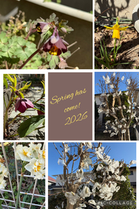 ファイル 2178-1.jpeg