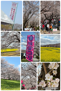 ファイル 2184-1.jpeg