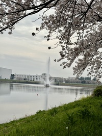 ファイル 2189-1.jpeg