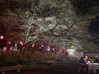 ファイル 2193-3.jpeg